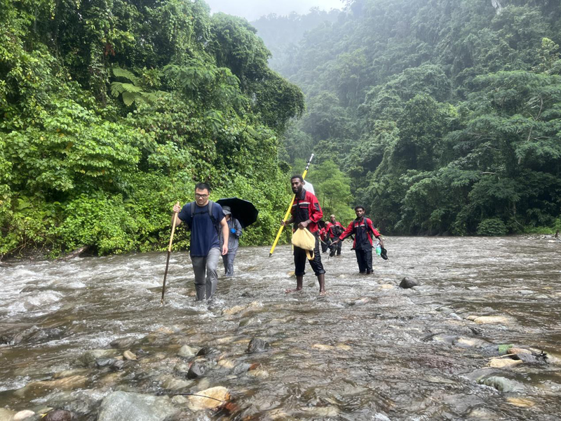 万水千山只等闲，，，，，，践行六讲勇向前 ——所罗门金岭水电站项目勘察工作侧记